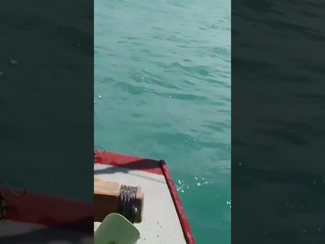 bate-papo no retorno da pescaria em alto mar