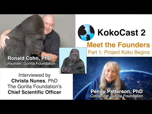KokoCast 2:  Meet the Founders: Part 1: How it All Began