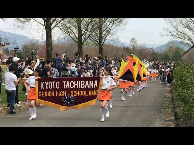 京都橘高校 2019ブルーメンパレード 午後の部 キレのあるステップを披露するKyoto Tachibana SHS Band
