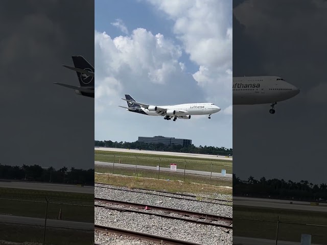 Lufthansa Boeing 747-8 Landing at Miami #plane #airplane #airplanes #airport #planespotting #boeing