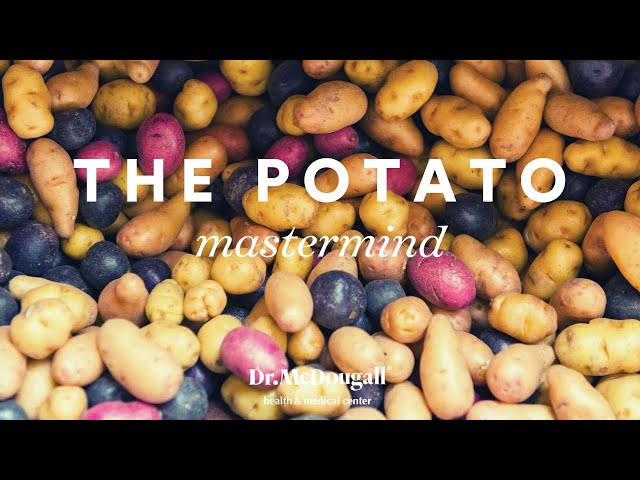 Potato Mastermind - Part 2