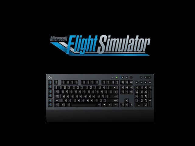 FS2020: Flying Using the Keyboard Only?? + My settings and Tips!