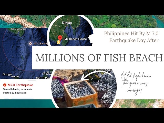 MAGNITUDE 7 #EARTHQUAKE STRIKES PHILIPPINES TWO DAYS AFTER *THIS* HAPPENED! #beaching #endtimes #god