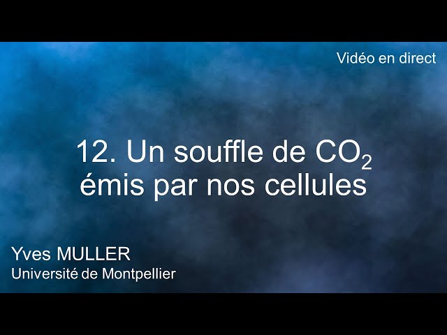 12. Un souffle de CO2 émis par nos cellules