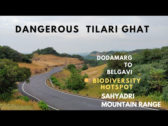 "Exploring Tilari Ghat: Dodamarg to Belgavi in 2 Hours | Sahyadri Mountain Drive!"|dangerous road