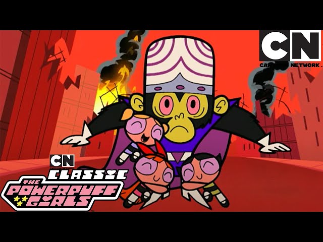 Forced Kin | The Powerpuff Girls Classic | Cartoon Network