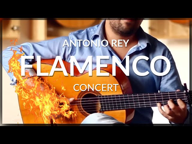 Antonio Rey - Flamenco Concert by the 2020 Latin Grammy Award guitarist