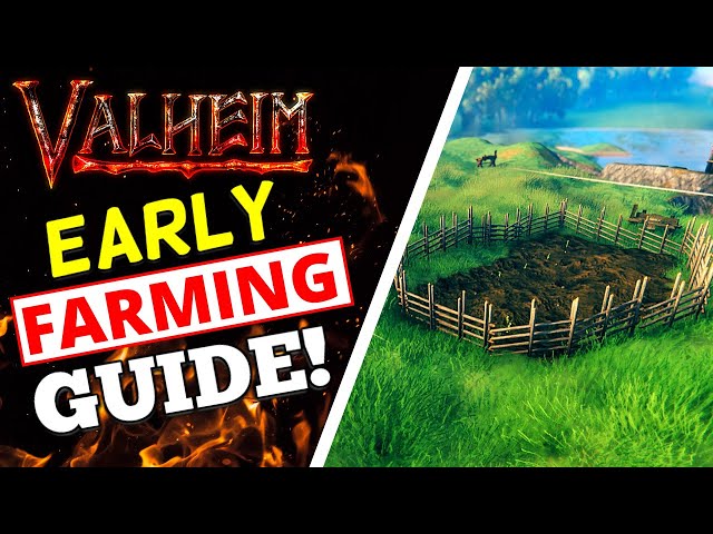 Valheim Early Farming Guide - CARROT FARM!