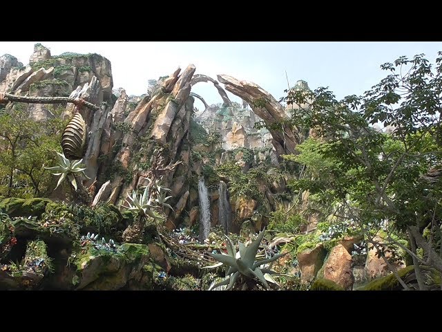 Fake Waterfalls in Pandora - The World of Avatar at Disney's Animal Kingdom