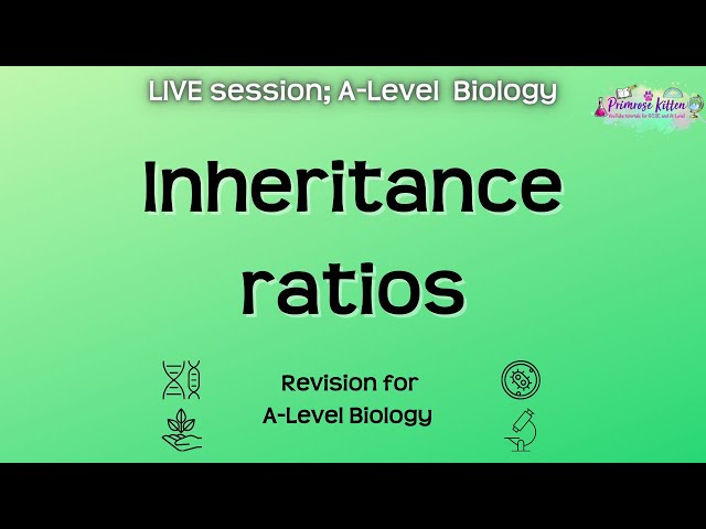 Inheritance ratios - A-Level Biology | Live Revision Session