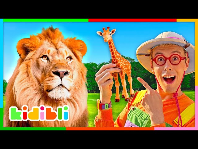 Let's learn about Savanna Animals! | Educational Videos for Kids | Kidibli