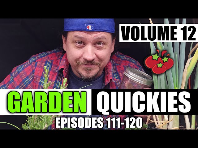 Garden Quickies Volume 12 - Episodes 111 to 120