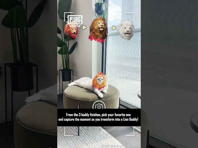 Lion Companion Filter Challenge | PUBG MOBILE