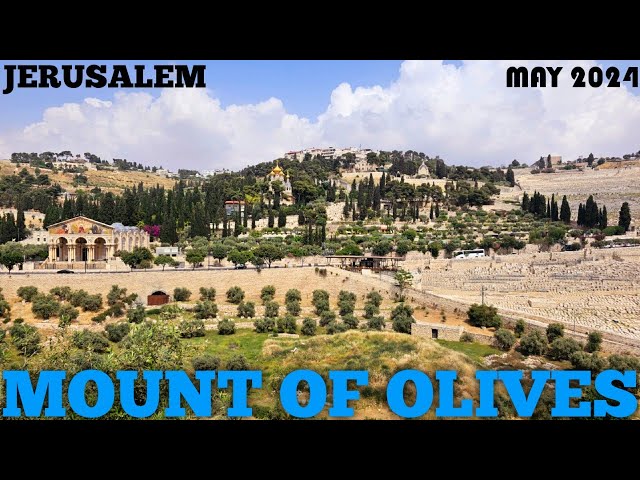 JERUSALEM Mount of Olives Silent Walk May2024 Holand Israel. #israel