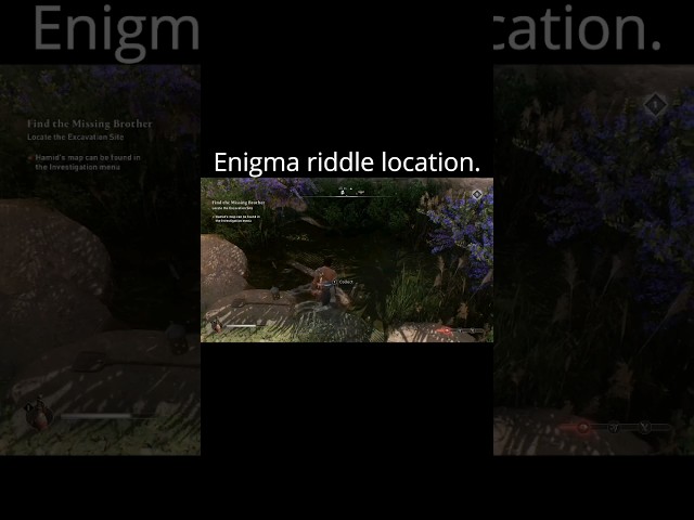 Delight by the dome enigma solution. (AC Mirage) #short #assassinscreedmirage