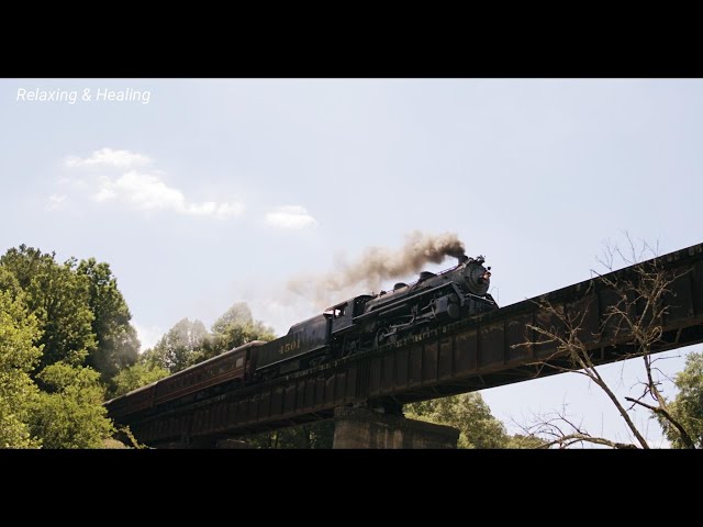 鉄道の旅情：風景と歴史を巡る列車の旅 🚂🌄