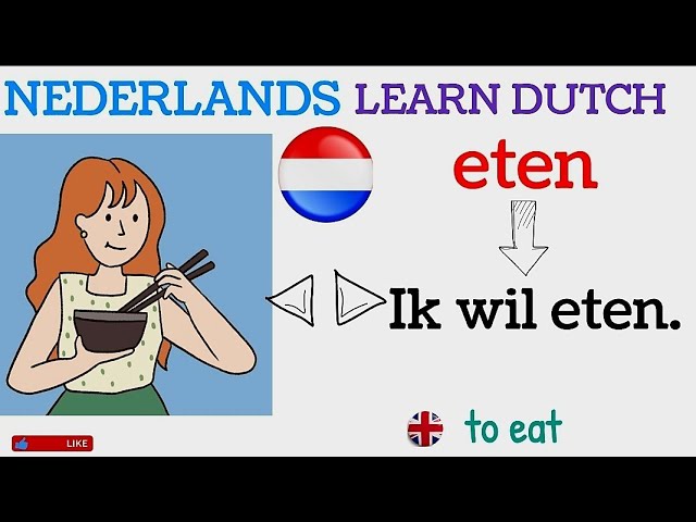 NEDERLANDS LEREN NT2 GRAMMATICA WERKWOORDEN / learn dutch with english 2