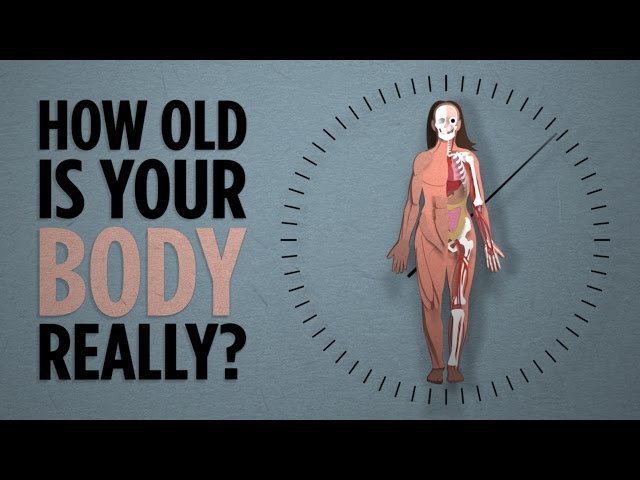 Your Body's Real Age | NPR's SKUNK BEAR
