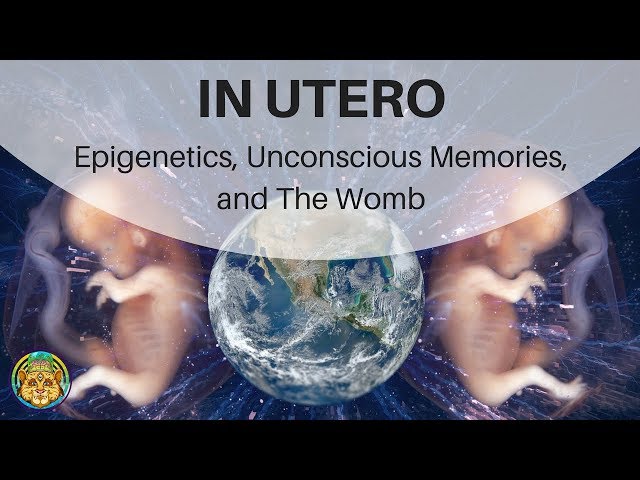IN UTERO: Epigenetics, Unconscious Memories, and The Womb | Stephen Gyllenhaal ~ ATTMind 74