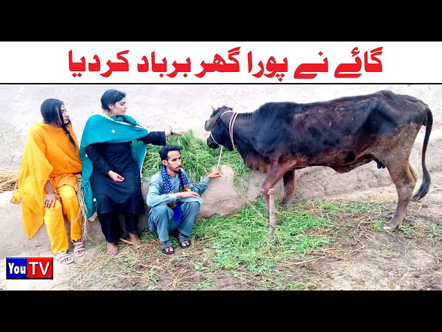 Wada Number Daar Noori Noor Nazer Gai Ghar Barbad Kirli New Funny Punjabi Comedy Video  | You Tv HD