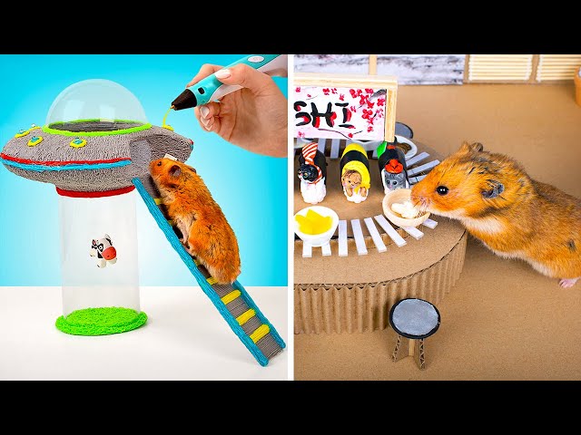 Don’t Let Your Hamster Get Bored || A Miniature Flying Saucer And Sushi Bar
