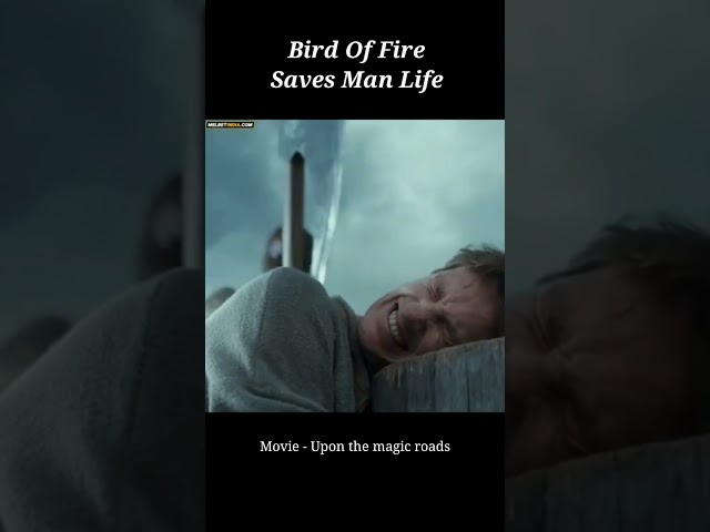 Bird Of Fire Saves Man's Life #shorts #hindi #movieexplainedinhindi