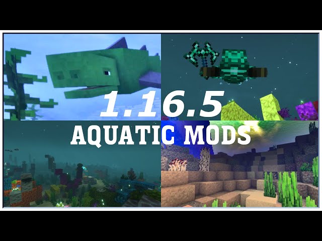 Best 1.16.5 Aquatic Update Mods [Forge] - Minecraft Cinematic Showcase