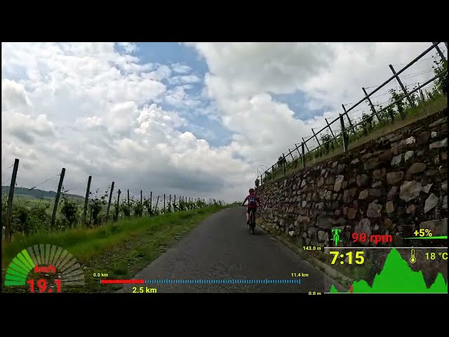30 minute Scenic Indoor Cycling Workout Mosel Germany Telemetry 4K Video