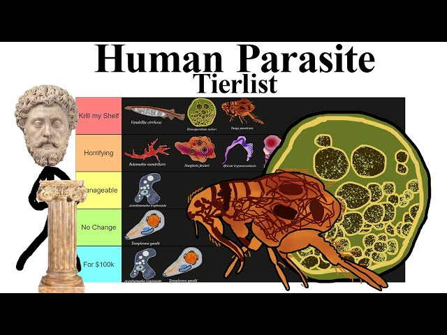 Human Parasite Tierlist