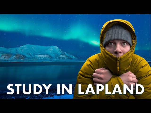 University of Lapland Tuition Fees & Scholarships EXPLAINED!