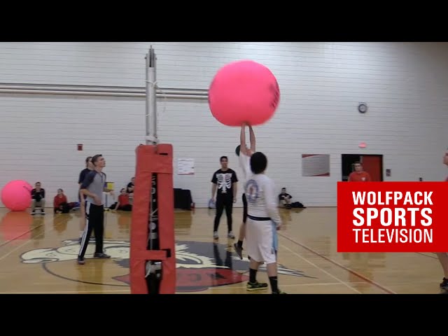 Pink Volleyball Championship Final - WeRecU vs. Lodgers (February 11th, 2016)