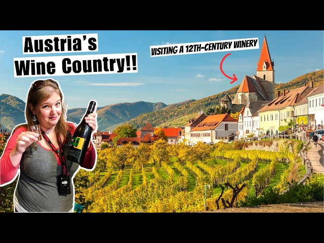 Visiting a 12th CENTURY Winery in Austria's Wachau Valley (Danube River Cruise)