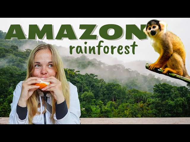 4 days in the Amazon rainforest 🐒🌿 Manu National park in Peru