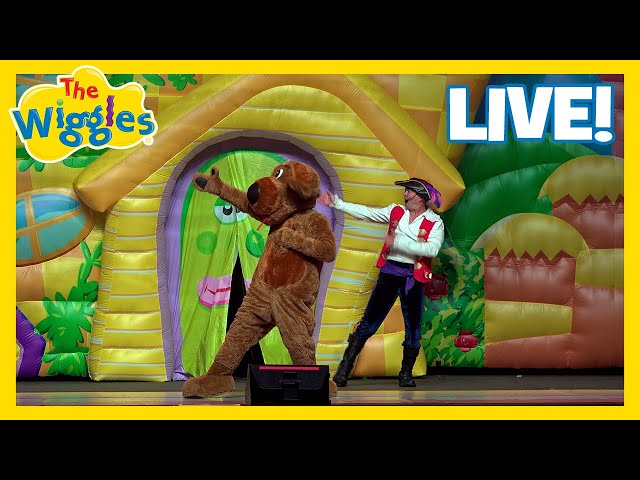 Wags the Dog He Likes to Tango 🐶 The Wiggles Live in Concert! 💃 Fun Kids Dancing Songs