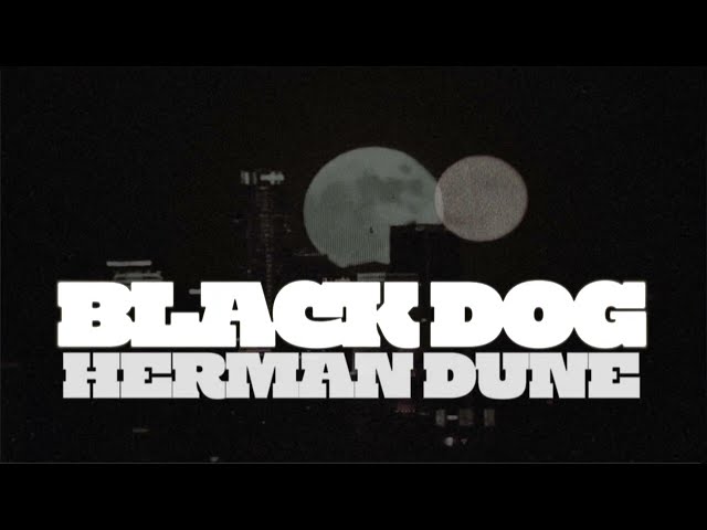 Black Dog - Herman Dune - Official Video