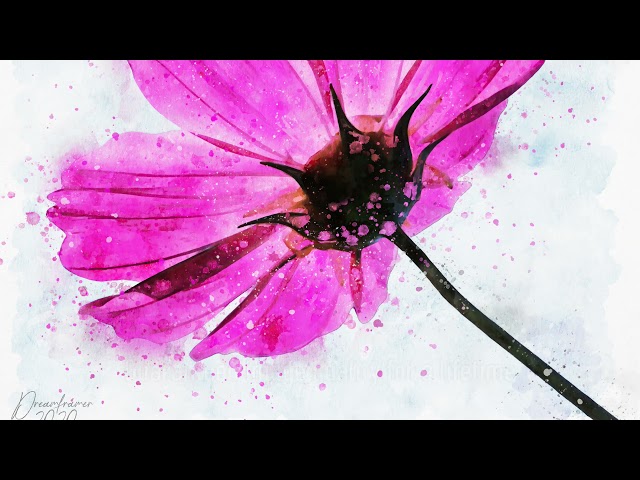Premium Handmade Art Print "Pink Cosmos Flower in Watercolors" by Dreamframer Art