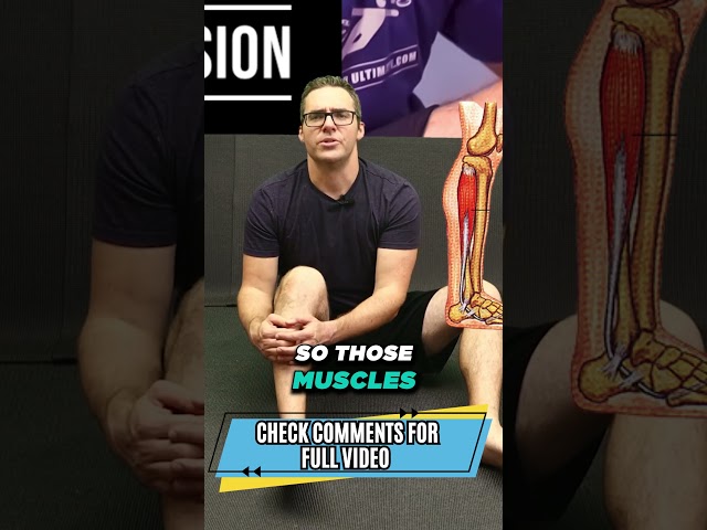 Ankle Strengthening Exercises [Posterior Tibial & Peroneal Tendonitis]