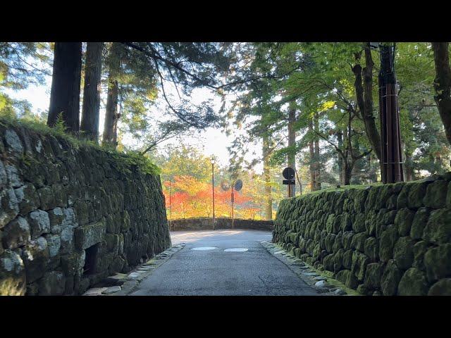 [ Driving Japan ] Popular world heritage sites and autumn leaves. 2023/Oct/26 Thu 5:20. Nikko 日光 尾瀬