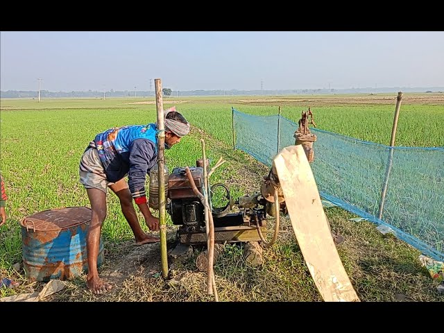 A skill farmer try to start a 5hp Water pump. 5hp diesel engine water pump start full process.