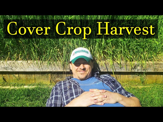 Harvesting Your Cover Crops