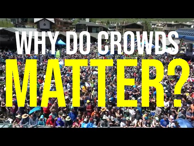 Why do Crowds Matter? Ft. Natalie Berry