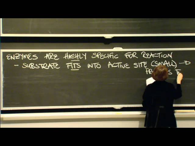 Biochemical Reactions, Enzymes, and ATP | MIT 7.01SC Fundamentals of Biology