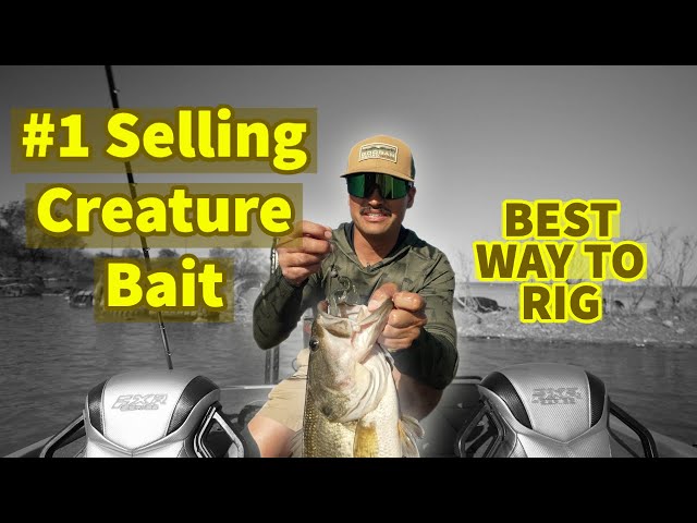 How To Rig The Best Soft Bait In Bass Fishing