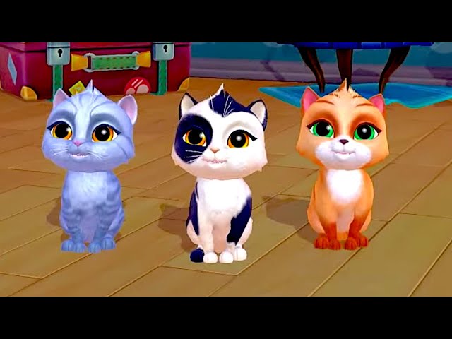 My Cat Little Kitten Preschool Adventure Educational Games -Play Fun Cute Kitten Pet Care Learning