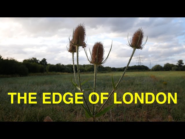 From the Forest to the Lea - Loughton to Broxbourne (4K)
