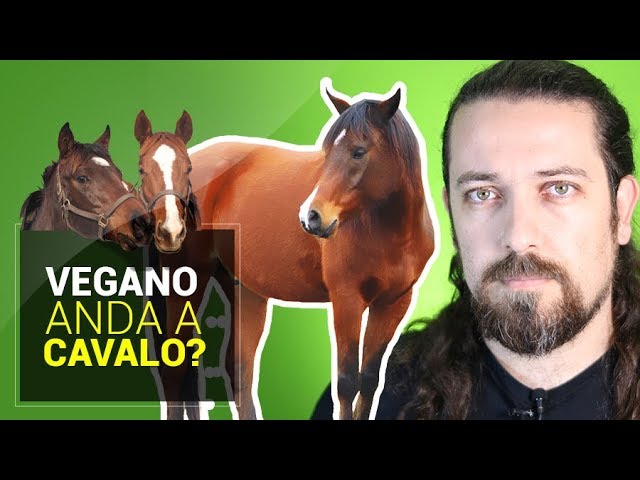 "Vegano anda a cavalo?" Resposta.