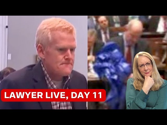 Murdaugh Murders, Day 11: Blue Tarp, Green Crisis -- Lawyer Live