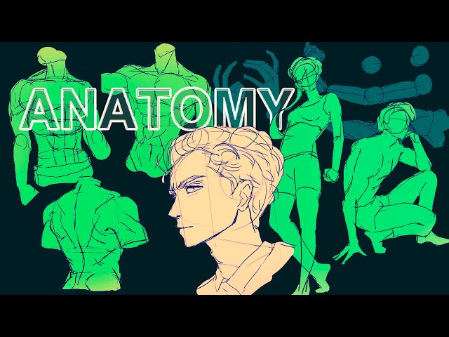 How I Learned Anatomy in A DAY!
