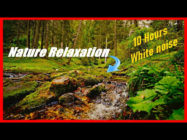 Forest Stream Sounds for Sleeping, No Birds, White Noise 10 Hours, Nature Relaxation
