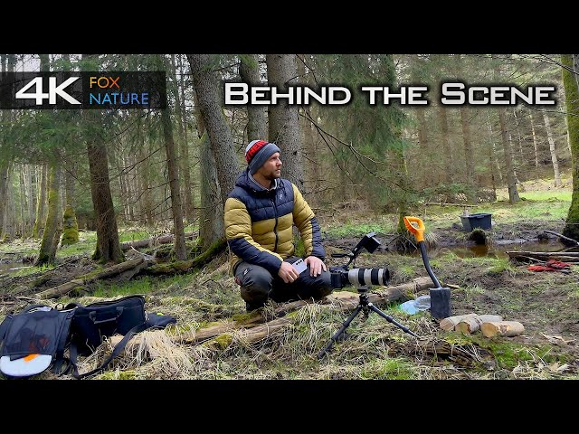 How to Film Natural Scenery + Final Result 🎥 Behind the Scene 4